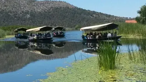 Mandarin szüret az Arany völgyben
Dubrovnik-Mandarin szüret a Neretva völgyben-Pocitelj 6