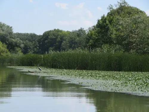 TISZA-TAVI ÖKOCENTRUM – STRANDOLÁSI LEHETŐSÉGGEL 4
