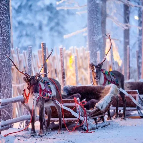 Lappföld csodái-Találkozz az igazi Mikulással  
 12