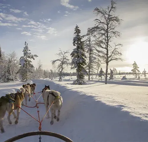 Lappföld csodái-Találkozz az igazi Mikulással  
 1