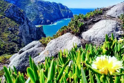 EURÓPA KAPUJA-PORTUGÁLIA 5