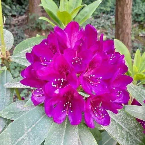 Utazás kép MALONYA – BÉNY – ZSELÍZ