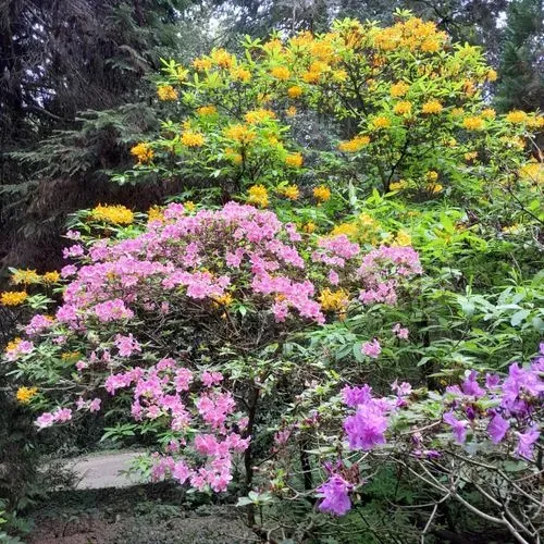 MALONYA – BÉNY – ZSELÍZ 1