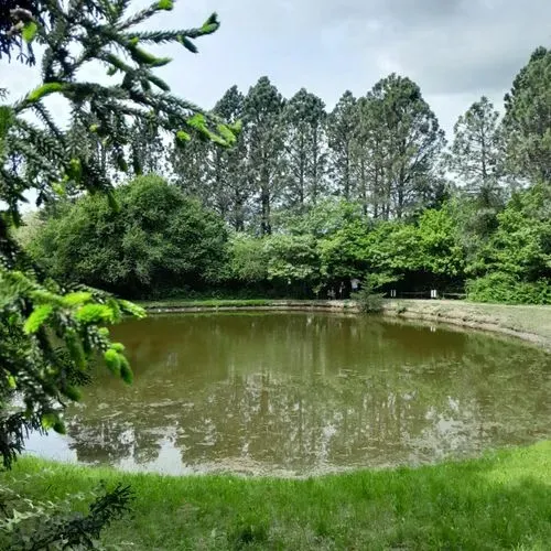 MALONYA – BÉNY – ZSELÍZ 7