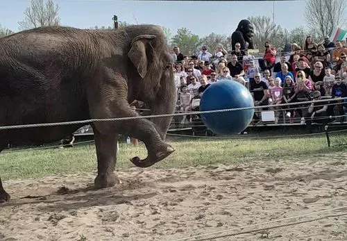 Utazás kép RICHTER SZAFARI PARK, ÓCSAI LÁTOGATÁSSAL