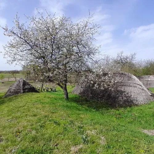 RICHTER SZAFARI PARK, ÓCSAI LÁTOGATÁSSAL 2