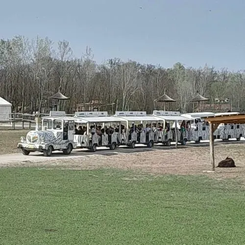 RICHTER SZAFARI PARK, ÓCSAI LÁTOGATÁSSAL 4