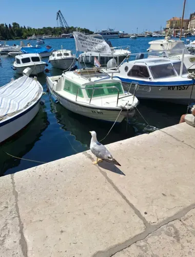 ROVINJ LUBICKOLÁS 9