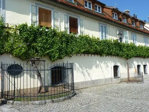 EGY KÜLÖNLEGES, FERGETEGES OLASZ KARNEVÁL-
Muggia farsang  6