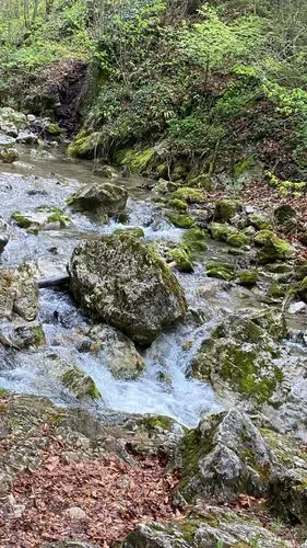 MYRA-VÍZESÉS 
ÉS A MELKI APÁTSÁG 9