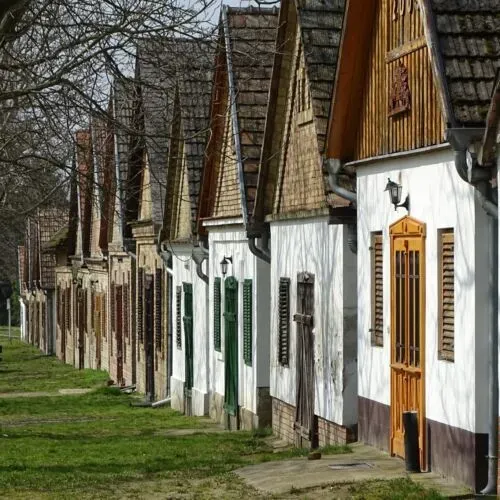 DISZNÓTOROS A GYÖRKÖNYI PINCÉKNÉL - kolbásztöltés, rétes húzás, borkostoló 3
