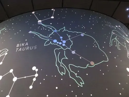 BÜKKI CSILLAGDA–NOSZVAJ ÉS BOGÁCS,FESZTIVÁLHANGULATBAN 2