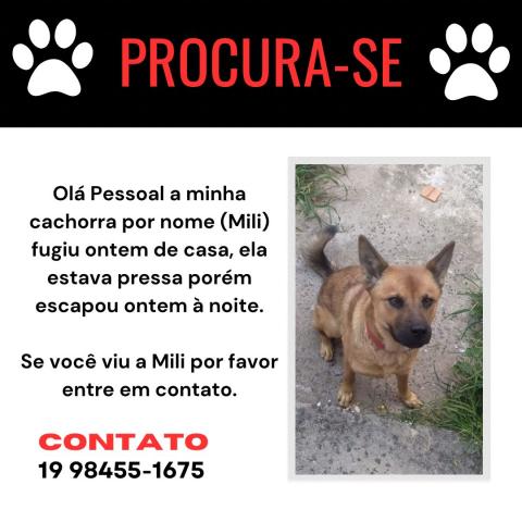  Mili