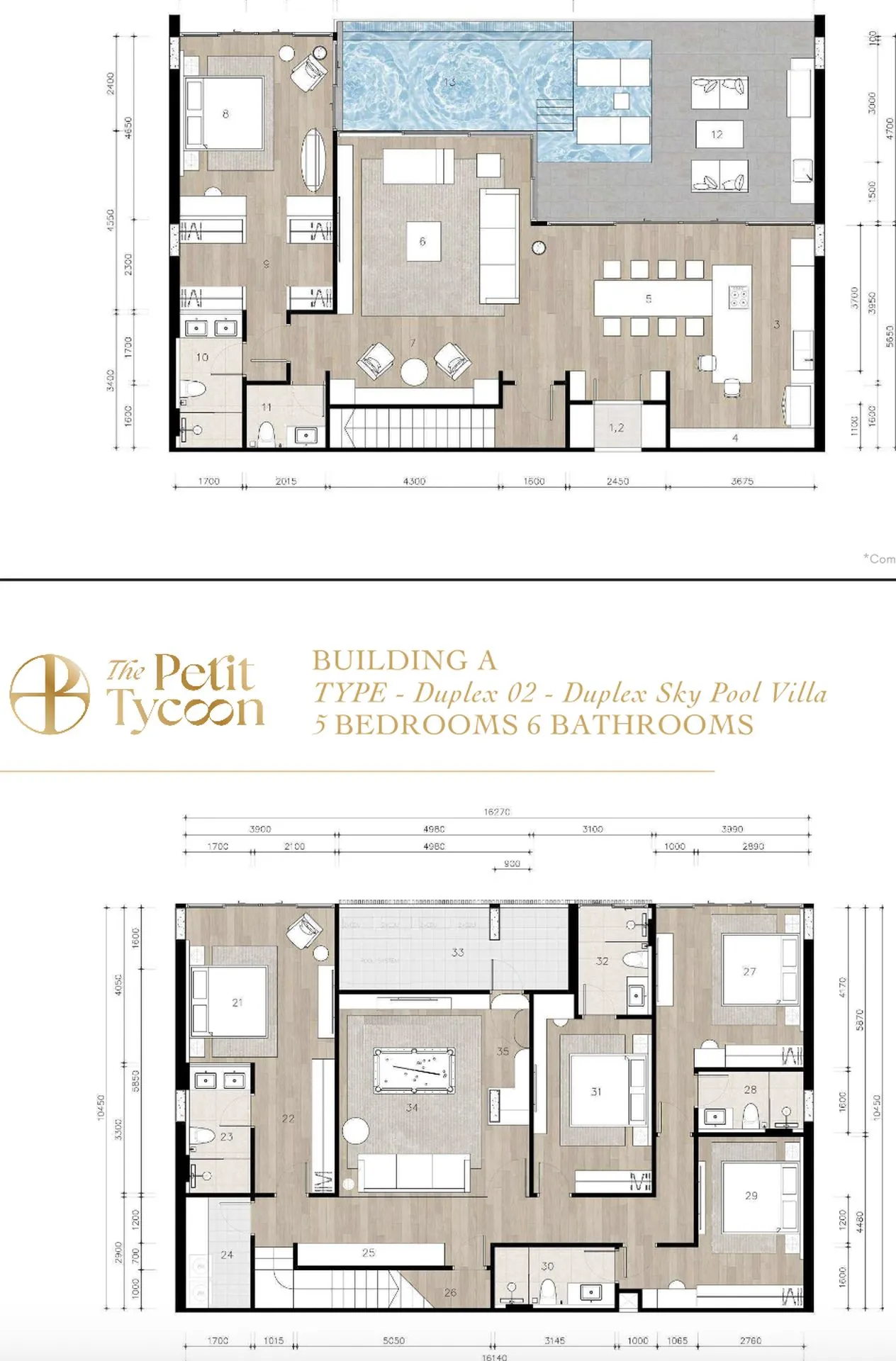 The Petit Tycoon 39