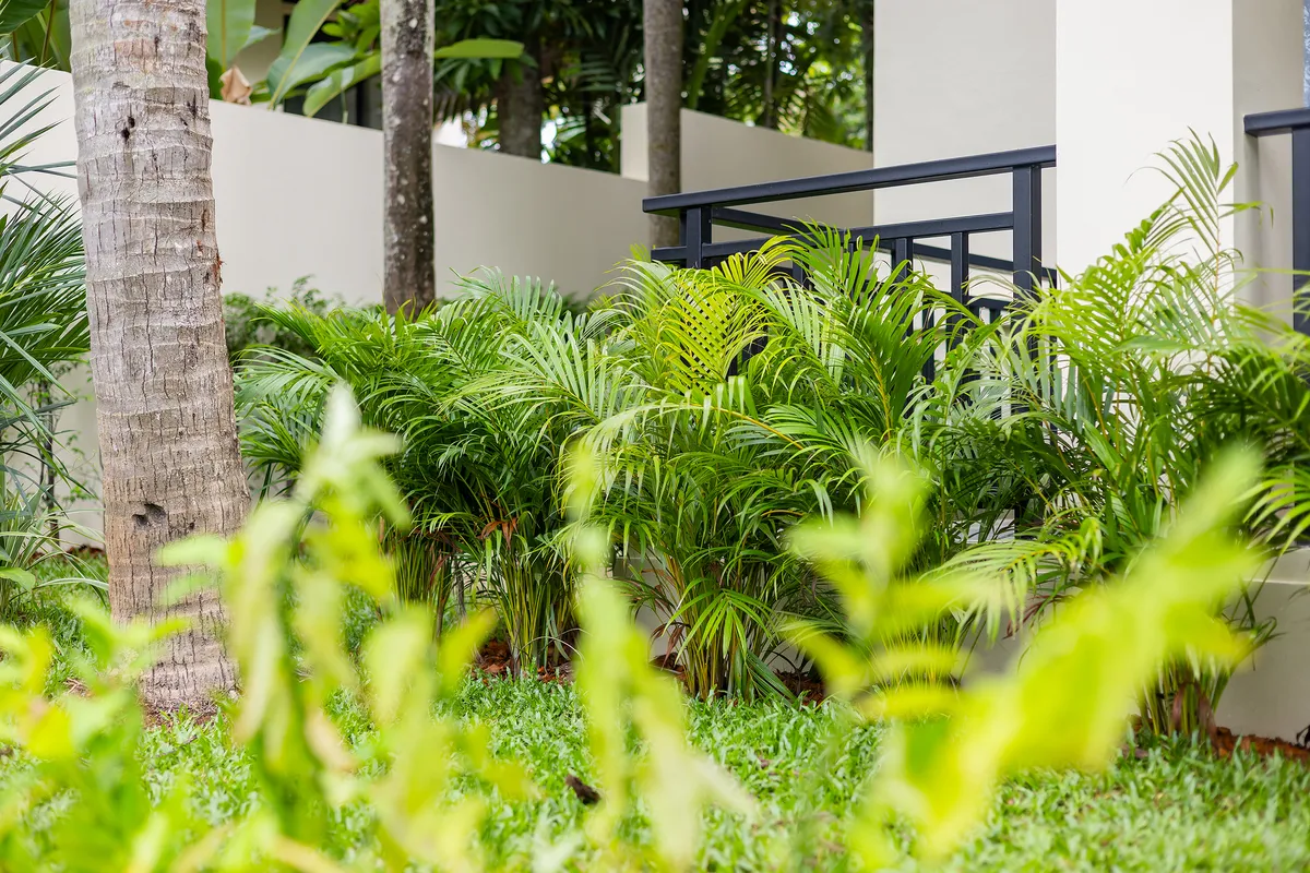 Mild Maan Tawan V14 81