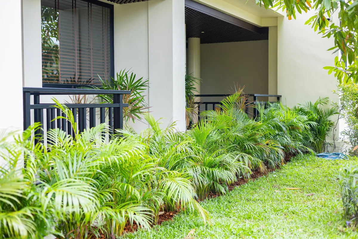 Mild Maan Tawan V14 82