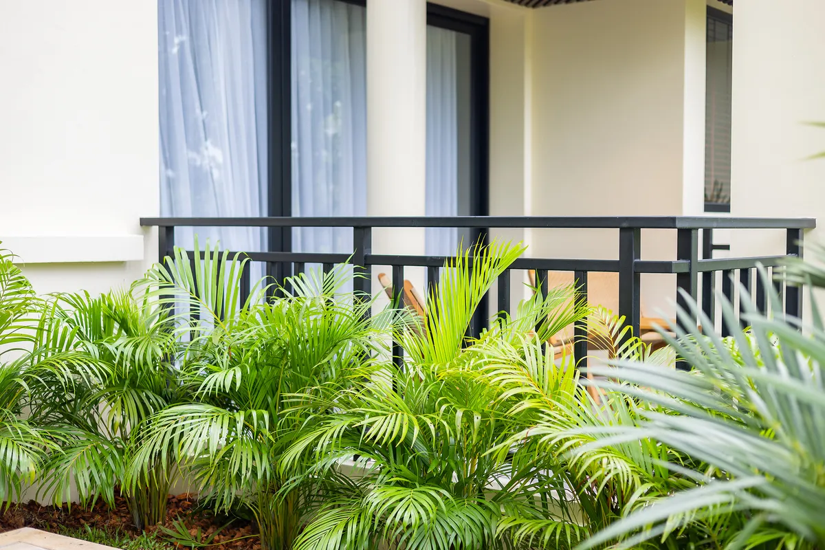 Mild Maan Tawan V14 83