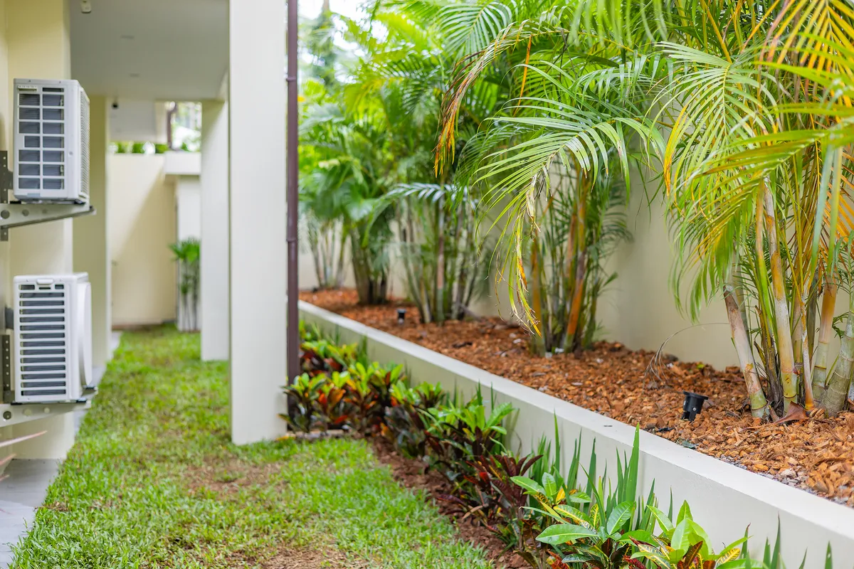 Mild Maan Tawan V14 85