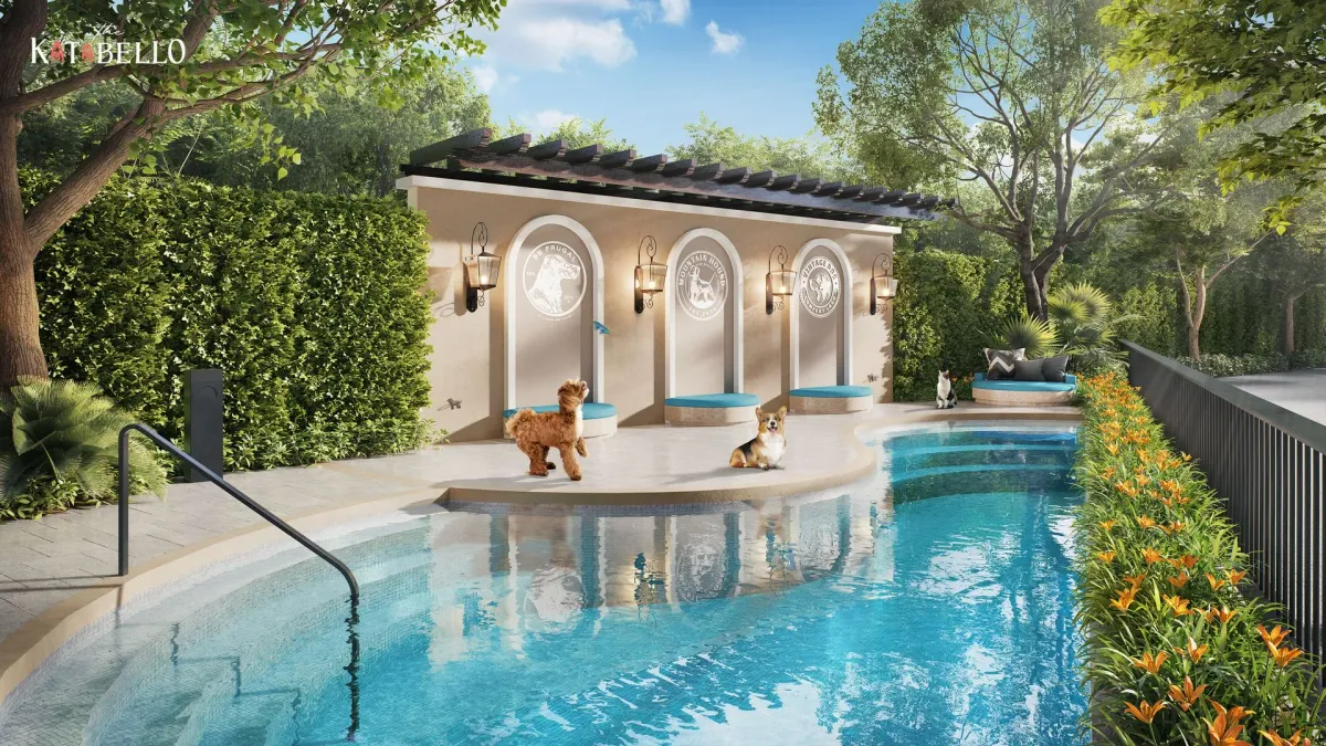 KataBello - The Title 12