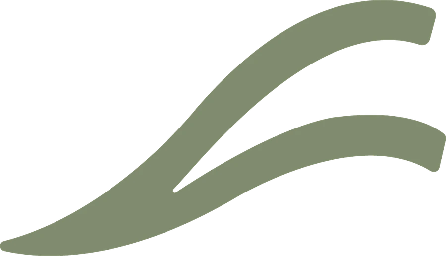 Relevé Studio
