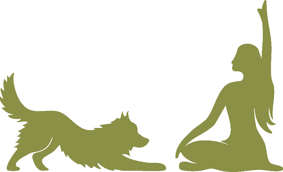 TY Pilates Studio