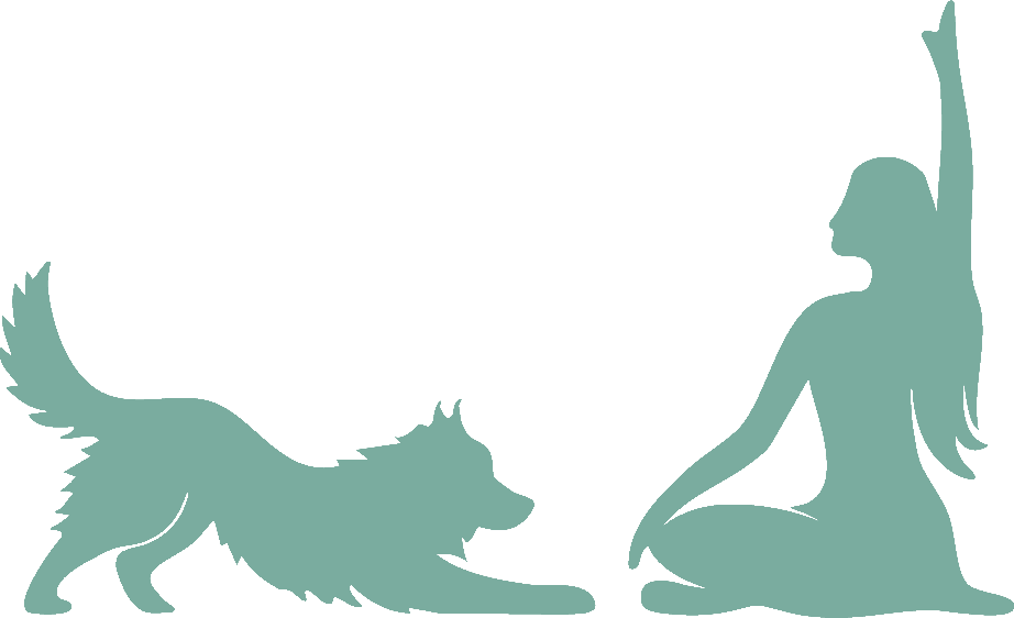 TY Pilates Studio