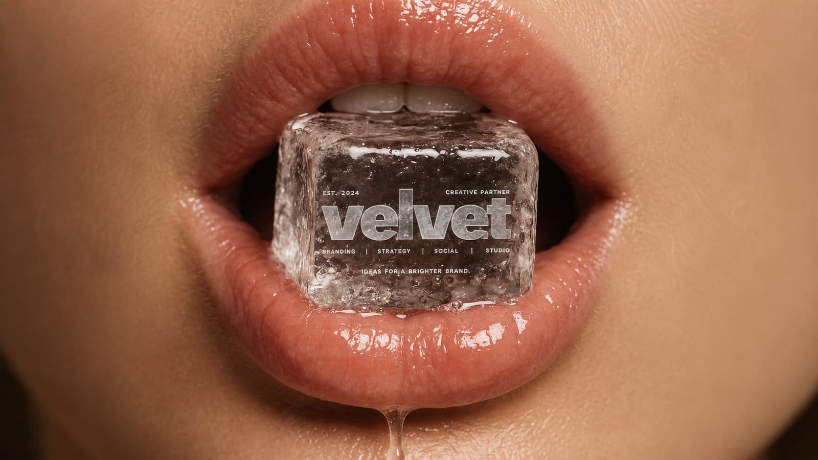 Cubo de hielo con el logo de Velvet
