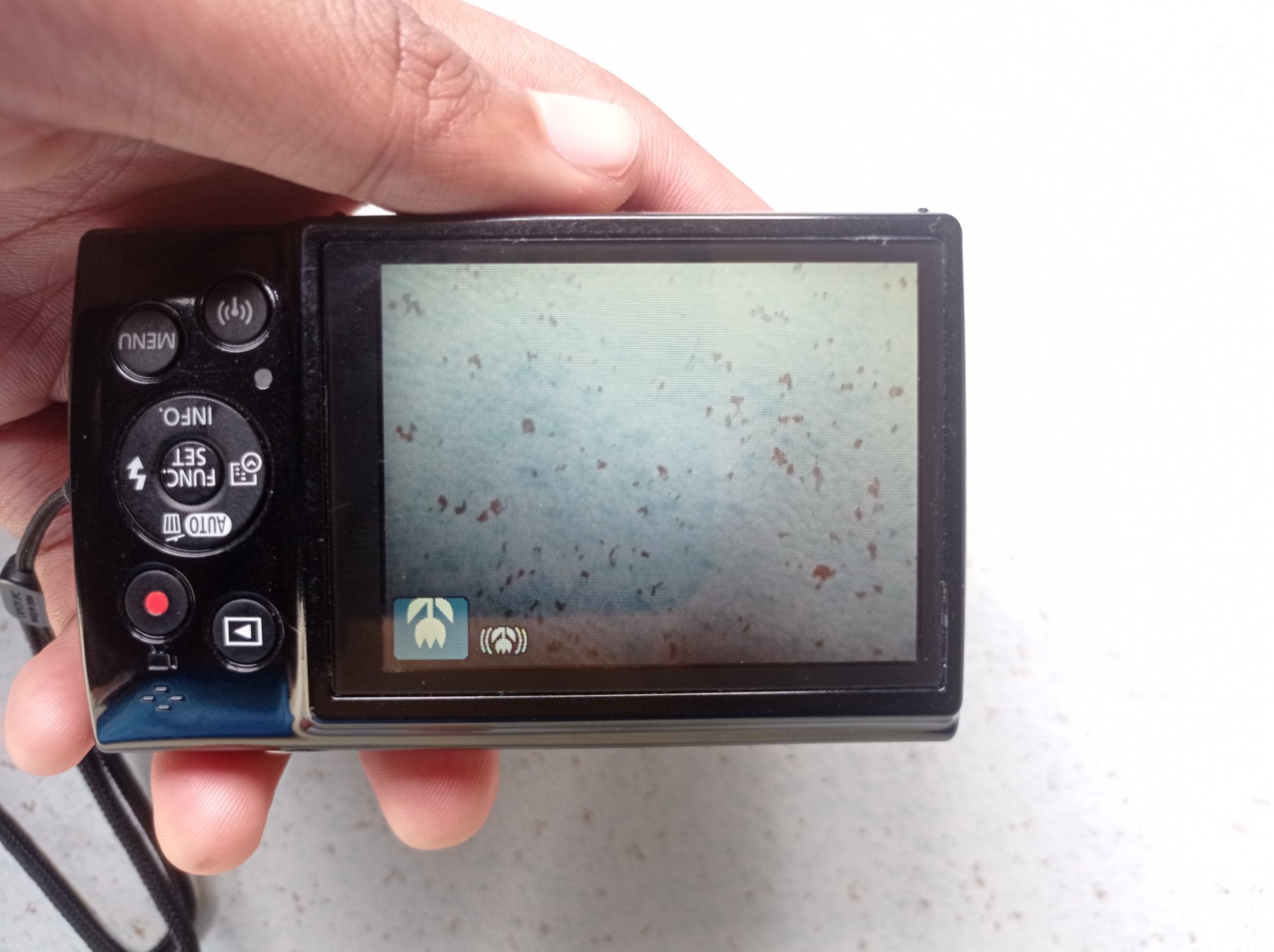 lcd