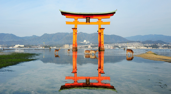 A view of Kashima Jingu