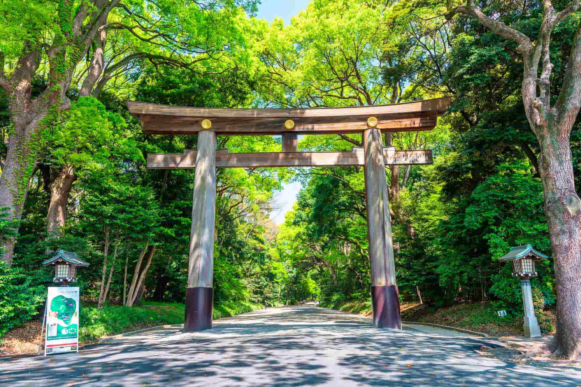 A view of Meiji Jingu
