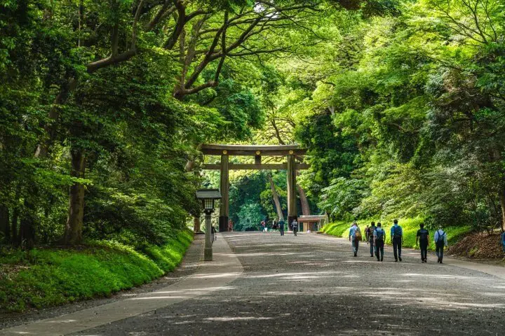 A view of Meiji Jingu - 3