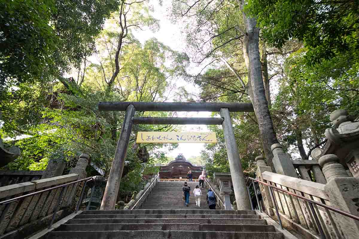A view of Kotohiragu (Konpira-san) - 3