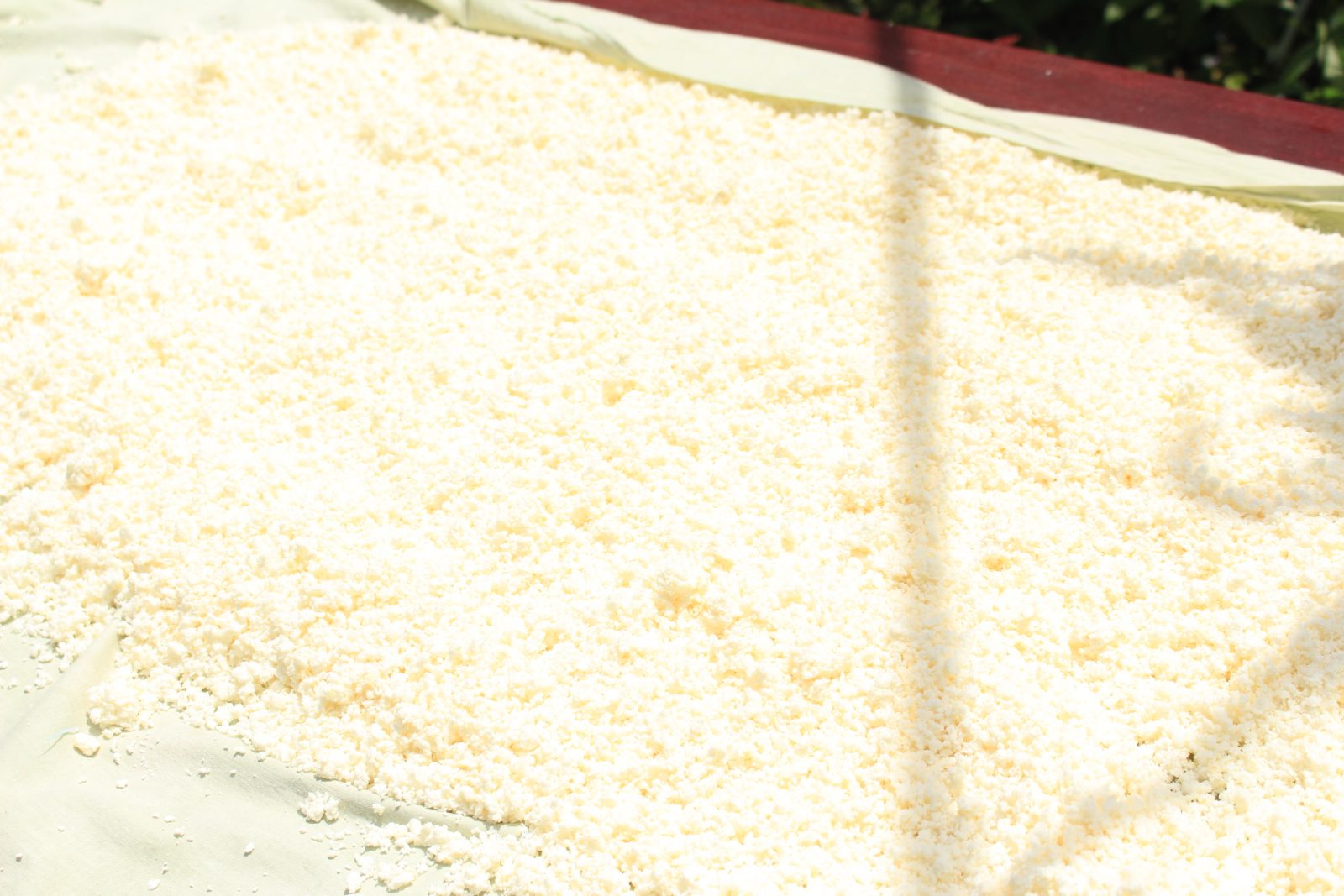Tepung Ubi