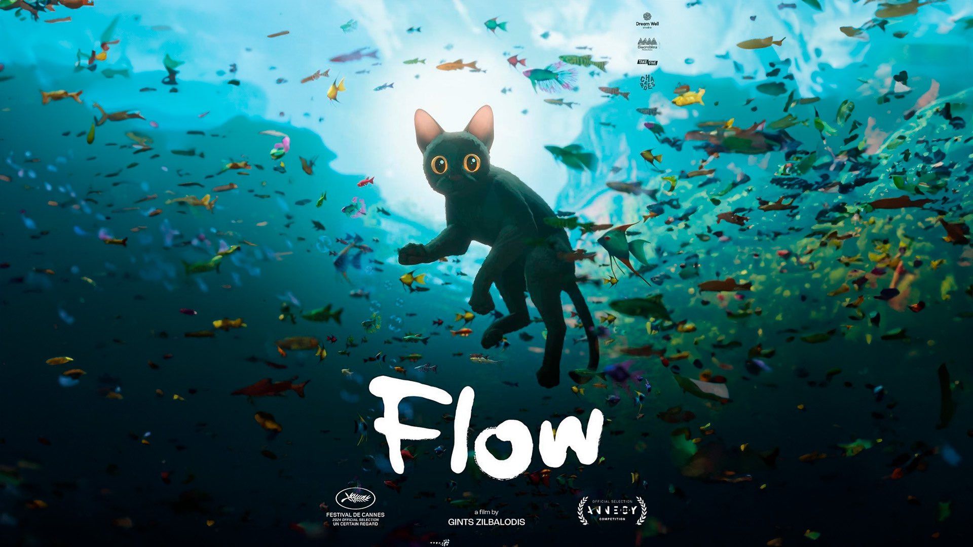 Flow backdrop