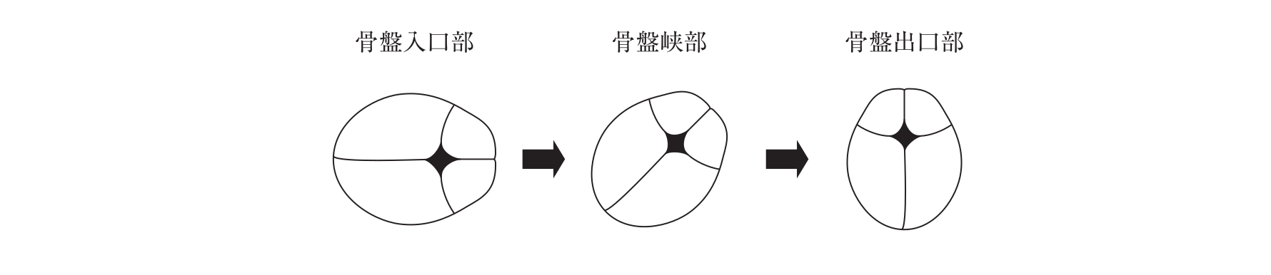 第101回 問10 の図 1