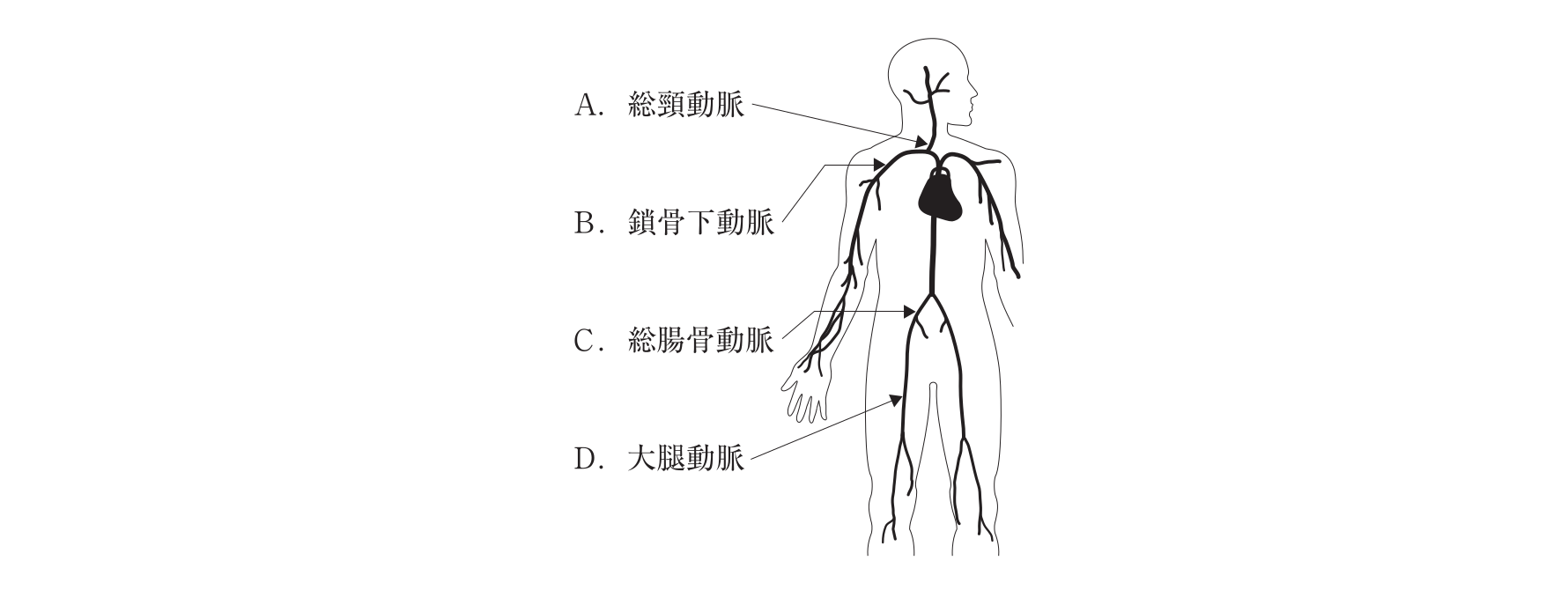 第101回 問9 の図 1