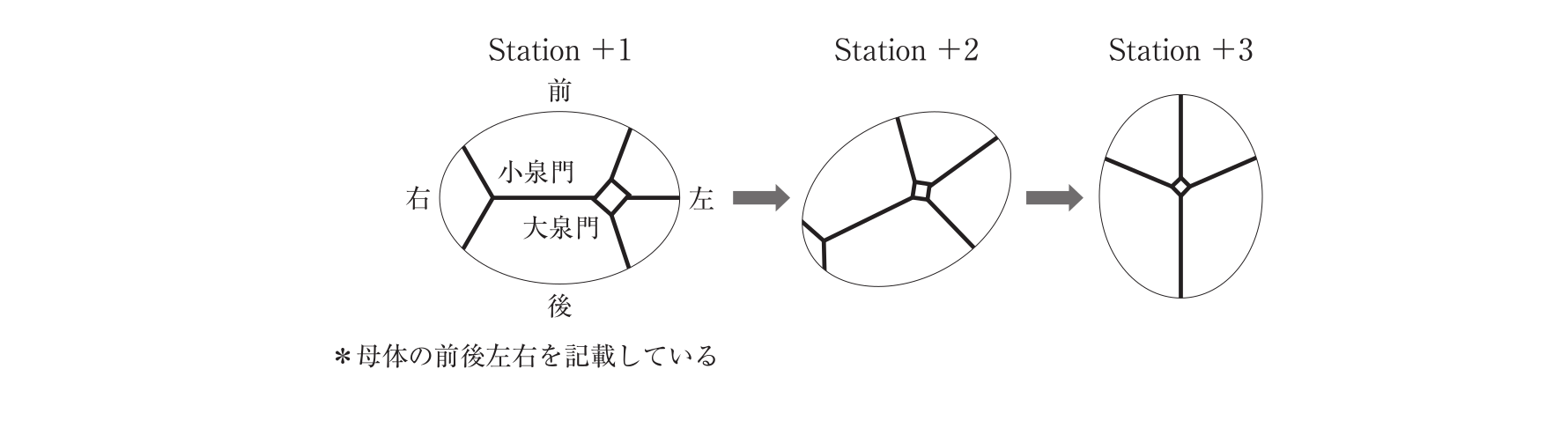 第103回 問76 の図 1