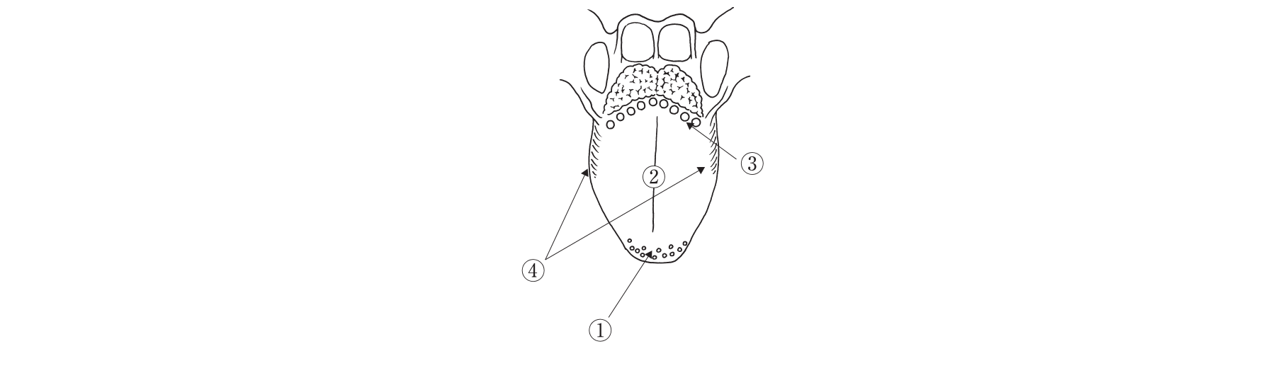 第113回 問27 の図 1