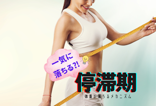 停滞期のあとに体重が一気に落ちるのは本当？停滞期のメカニズムを徹底解説