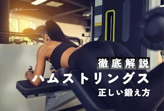 【プロ監修】ハムストリングスの鍛え方｜太腿の裏側を効果的に鍛えるトレーニングをプロが徹底解説
