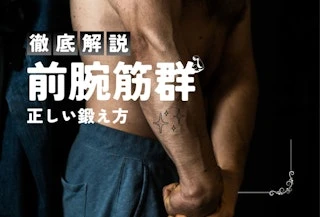 【プロ監修】前腕筋の鍛え方｜前腕部を効果的に鍛えるトレーニングをプロが徹底解説