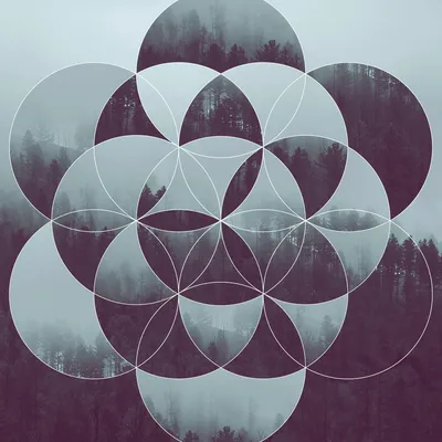 Flower of life geometry