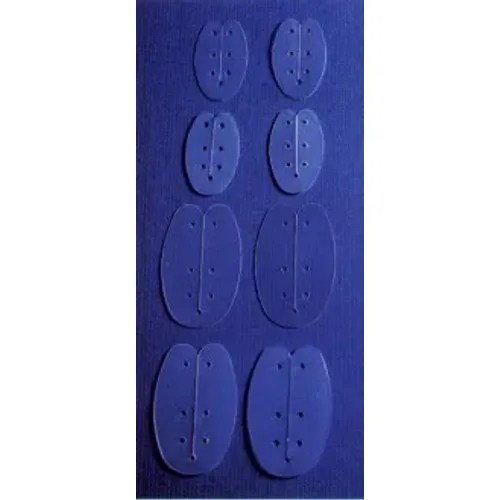 Invotec Int Bivalve Internal Nasal Splint, Large, 0.25 mm, Fluoroplastic, Box of 10