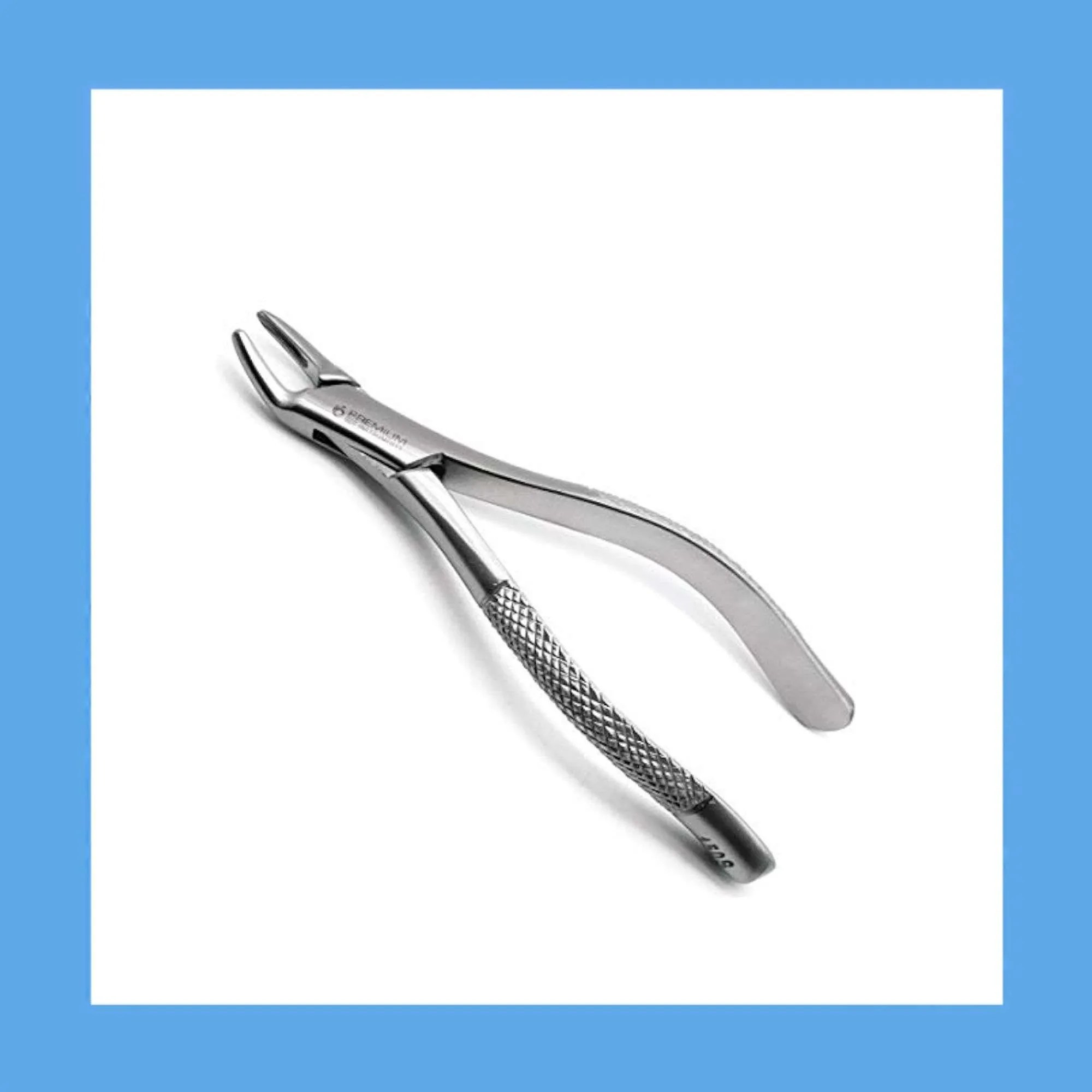 Equus Extraction Forceps Upper Cuspid and Bicuspid 150A EQ86-150A