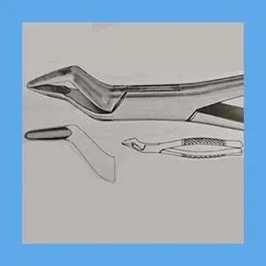 Equus Extraction Forceps Upper Bicuspid Bayonet Forceps EQ86-032