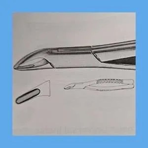 Equus Extraction Forceps Upper Bicuspid 101 EQ86-101`