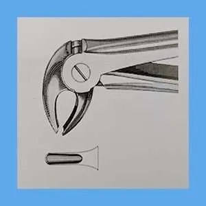 Equus Extraction Forceps #13, Lower Anterior and Bicuspid, Ashe Pattern