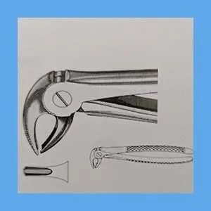 Equus Extraction Forceps, Lower Anterior Bird Beak