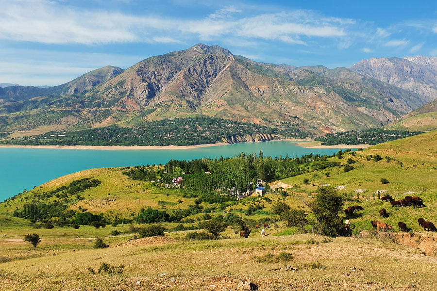 Day Tour to Chimgan Mountains & Charvak Lake
