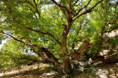 Day Tour to Zaamin National Park-1